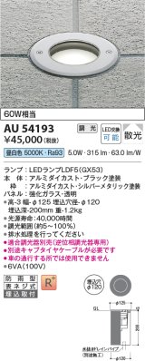 コイズミ照明　AU54193　アウトドアライト 埋込穴φ120 調光 調光器別売 LEDランプ 昼白色 防雨型 埋込取付 シルバーメタリック