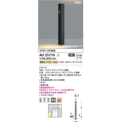 画像1: コイズミ照明 AU55770 アウトドアライト ガーデンライト 非調光 電球色 下面照射 キャブタイヤケーブル別売 防雨型 サテンブラック