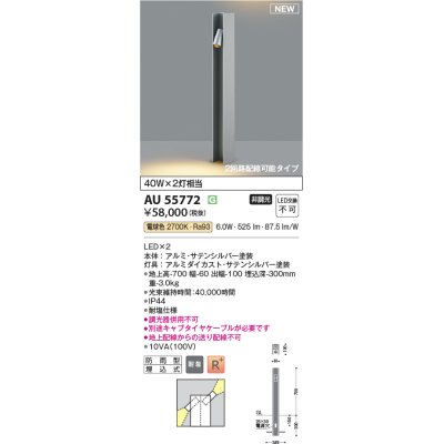 画像1: コイズミ照明 AU55772 アウトドアライト ガーデンライト 非調光 電球色 下面照射 キャブタイヤケーブル別売 防雨型 サテンシルバー