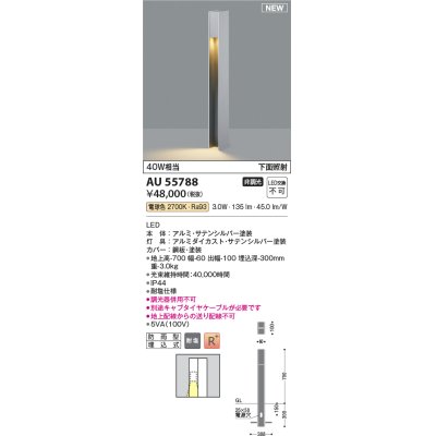 画像1: コイズミ照明 AU55788 アウトドアライト ガーデンライト 非調光 電球色 下面照射 キャブタイヤケーブル別売 防雨型 サテンシルバー