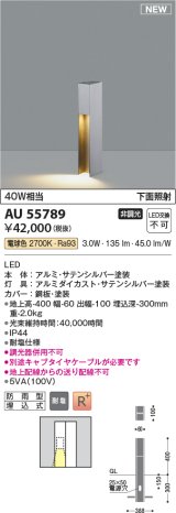 コイズミ照明 AU55789 アウトドアライト ガーデンライト 非調光 電球色 下面照射 キャブタイヤケーブル別売 防雨型 サテンシルバー