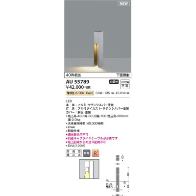 画像1: コイズミ照明 AU55789 アウトドアライト ガーデンライト 非調光 電球色 下面照射 キャブタイヤケーブル別売 防雨型 サテンシルバー