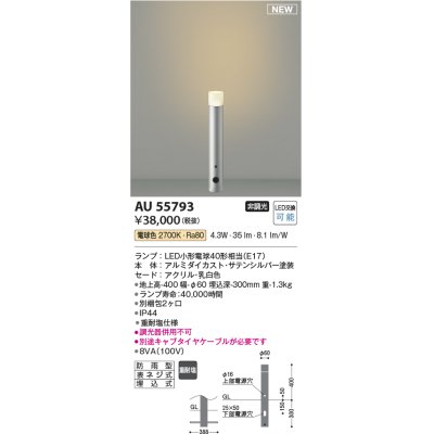 画像1: コイズミ照明 AU55793 アウトドアライト ガーデンライト 非調光 電球色 キャブタイヤケーブル別売 防雨型 サテンシルバー