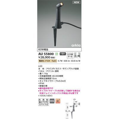 画像1: コイズミ照明 AU55800 アウトドアライト スポットライト 非調光 電球色 防雨型 サテンブラック