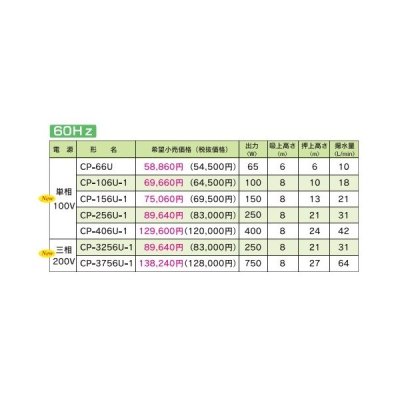 画像2: テラル　CP-3756U-1　浅井戸用非自動式ポンプ(CP形) 三相200V (60Hz用)