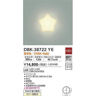 画像1: 大光電機(DAIKO)　DBK-38722YE　ブラケット 非調光 電球色