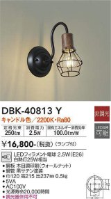 大光電機(DAIKO)　DBK-40813Y　ブラケット LED 非調光 キャンドル色 ランプ付