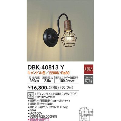 画像1: 大光電機(DAIKO)　DBK-40813Y　ブラケット LED 非調光 キャンドル色 ランプ付