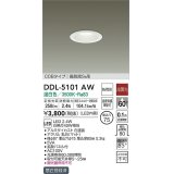 大光電機(DAIKO)　DDL-5101AW　ダウンライト LED内蔵 温白色 非調光丸タイプ SB形 防滴形 白熱灯40W相当 φ75