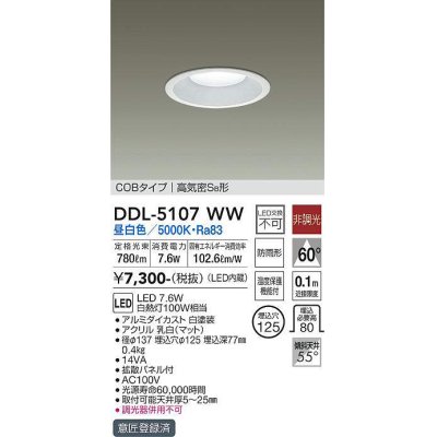 画像1: 【数量限定特価】大光電機(DAIKO)　DDL-5107WW　ダウンライト LED内蔵 非調光 昼白色 COBタイプ 高気密SB形 防雨形 埋込穴φ125 ホワイト