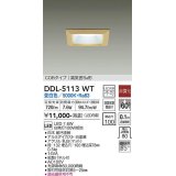 大光電機(DAIKO)　DDL-5113WT　ダウンライト LED内蔵 非調光 昼白色 COBタイプ 高気密SB形 防雨形 埋込穴□100 白木枠