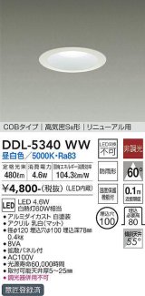 大光電機(DAIKO)　DDL-5340WW　ダウンライト LED内蔵 非調光 昼白色 温度保護機能付 防雨形 リニューアル用