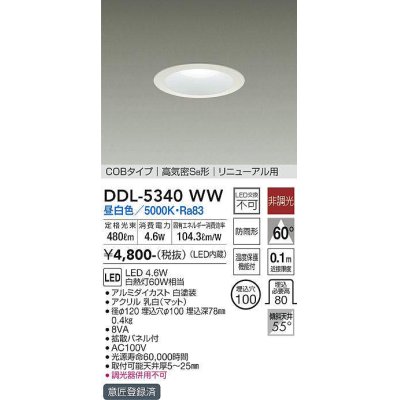 画像1: 大光電機(DAIKO)　DDL-5340WW　ダウンライト LED内蔵 非調光 昼白色 温度保護機能付 防雨形 リニューアル用