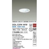 大光電機(DAIKO)　DDL-5394WW　ダウンライト LED内蔵 非調光 昼白色 高気密SB形 人感センサー ON/OFFタイプ 防雨形 埋込穴φ100 ホワイト