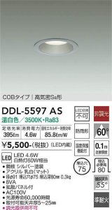 大光電機(DAIKO) DDL-5597 AS ダウンライト 埋込穴φ75 非調光 LED 温白色 COBタイプ 高気密SB形 防雨形 準耐火 シルバー