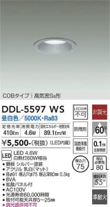 大光電機(DAIKO) DDL-5597 WS ダウンライト 埋込穴φ75 非調光 LED 昼白色 COBタイプ 高気密SB形 防雨形 準耐火 シルバー