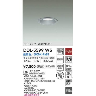 画像1: 大光電機(DAIKO) DDL-5599 WS ダウンライト 埋込穴φ75 非調光 LED 昼白色 COBタイプ 高気密SB形 防雨形 準耐火 シルバー