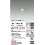 大光電機(DAIKO) DDL-5599 YS ダウンライト 埋込穴φ75 非調光 LED 電球色 COBタイプ 高気密SB形 防雨形 準耐火 シルバー