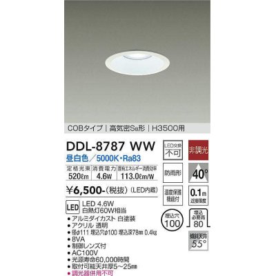 画像1: 大光電機(DAIKO)　DDL-8787WW　高天井用ダウンライト LED内蔵 非調光 昼白色 COBタイプ 高気密SB形 H3500用 防雨形 埋込穴φ100 ホワイト