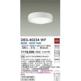 大光電機(DAIKO)　DEG-40234WF　防災照明 非常灯 非調光 昼白色 防雨形 白