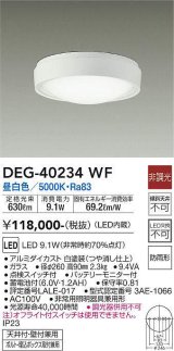 大光電機(DAIKO)　DEG-40234WF　防災照明 非常灯 非調光 昼白色 防雨形 白