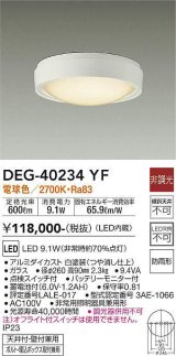 大光電機(DAIKO)　DEG-40234YF　防災照明 非常灯 非調光 電球色 防雨形 白