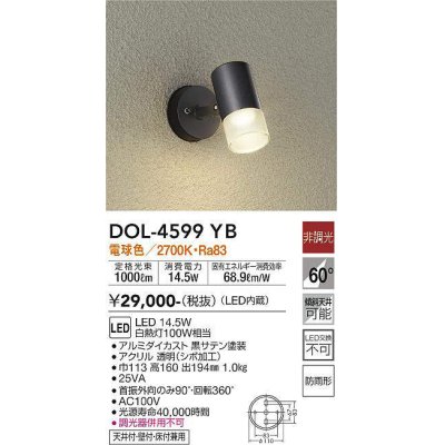 画像1: 大光電機(DAIKO)　DOL-4599YB　アウトドアライト スポットライト LED内蔵 非調光 電球色 防雨形 ブラック