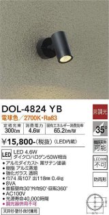 大光電機(DAIKO)　DOL-4824YB　アウトドアライト スポットライト 非調光 LED内蔵 電球色 防雨形 黒