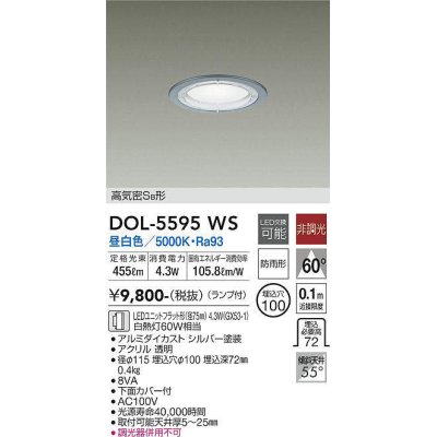 画像1: 大光電機(DAIKO) DOL-5595 WS アウトドアライト 軒下ダウンライト 埋込穴φ100 非調光 LED 昼白色 ランプ付 高気密SB形 防雨形 シルバー