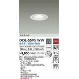 大光電機(DAIKO) DOL-5595 WW アウトドアライト 軒下ダウンライト 埋込穴φ100 非調光 LED 昼白色 ランプ付 高気密SB形 防雨形 ホワイト