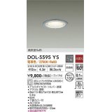 大光電機(DAIKO) DOL-5595 YS アウトドアライト 軒下ダウンライト 埋込穴φ100 非調光 LED 電球色 ランプ付 高気密SB形 防雨形 シルバー