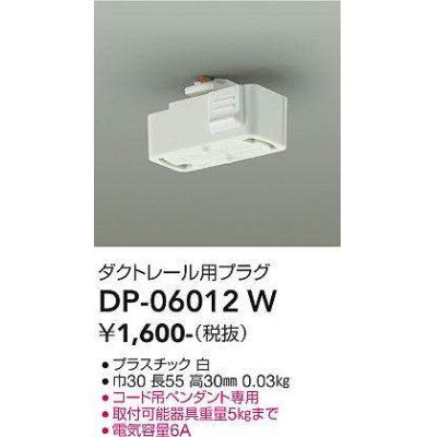 dp-06012w(小組)