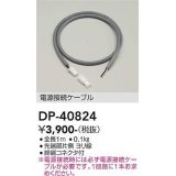 大光電機(DAIKO)　DP-40824　部材 電源接続ケーブル 終端コネクタ付