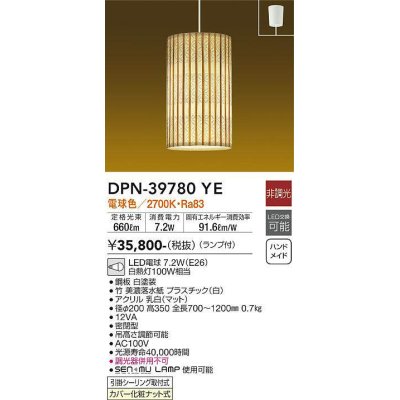 dpn-39780ye(小組)