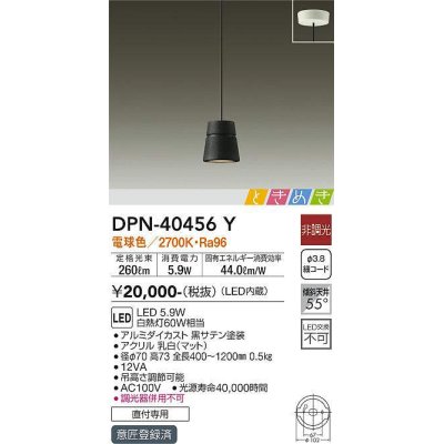 画像1: 大光電機(DAIKO)　DPN-40456Y　ペンダントライト LED内蔵 非調光 ときめき 電球色 ブラック