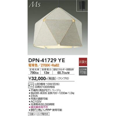 dpn-41729ye(小組)