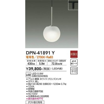 dpn-41891y(小組)