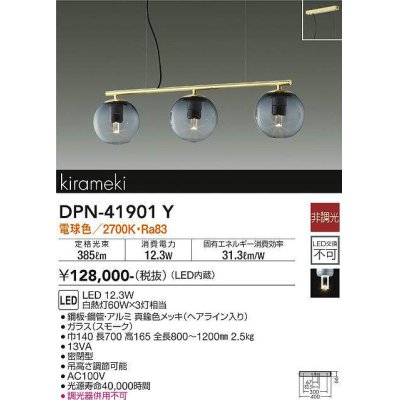 dpn-41901y(小組)