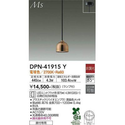 dpn-41915y(小組)