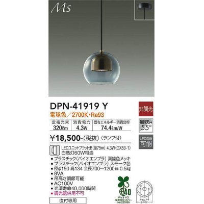 dpn-41919y(小組)