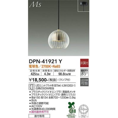 dpn-41921y(小組)