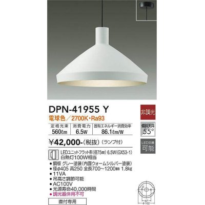 dpn-41955y(小組)