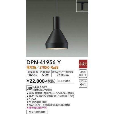 dpn-41956y(小組)