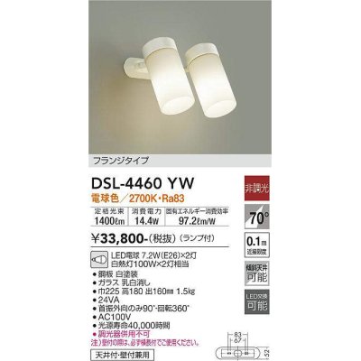 画像1: 照明器具 大光電機(DAIKO)　DSL-4460YW　スポットライト LED 非調光タイプ フランジタイプ (ランプ付き) 電球色