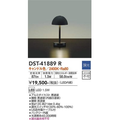 dst-41889r(小組)