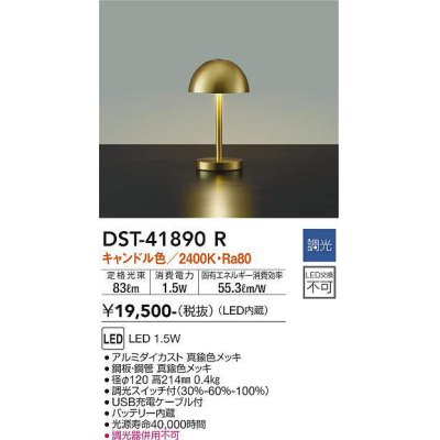 dst-41890r(小組)