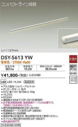 大光電機(DAIKO) DSY-5613 YW 間接照明 L=1137mm 非調光 LED 電球色 電源別売 コンパクトライン シルバー