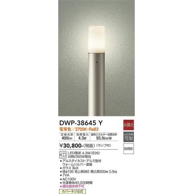 画像1: 大光電機(DAIKO)　DWP-38645Y　アウトドアライト ポール ランプ付 非調光 電球色 H=985mm 防雨形 ウォームシルバー