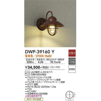 画像1: 大光電機(DAIKO)　DWP-39160Y　アウトドアライト ポーチ灯 ランプ付 非調光 電球色 防雨形 ラスティーブラウンレザートーン