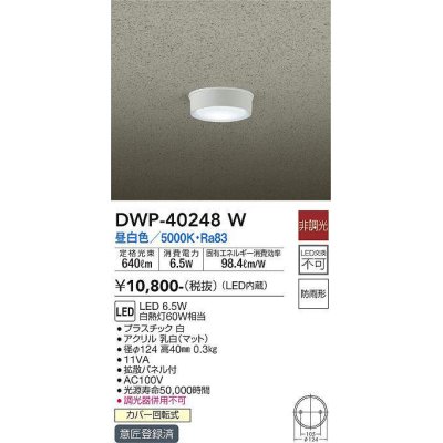 画像1: 大光電機(DAIKO)　DWP-40248W　アウトドア 軒下シーリング LED内蔵 非調光 昼白色 防雨形 拡散パネル付